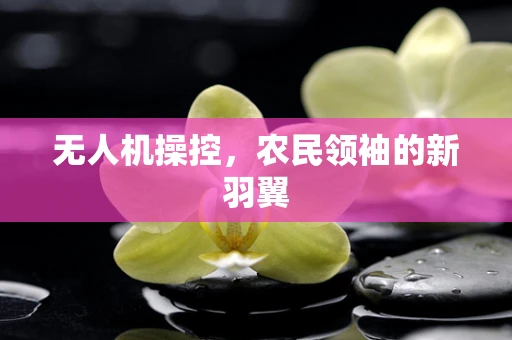 无人机操控，农民领袖的新羽翼