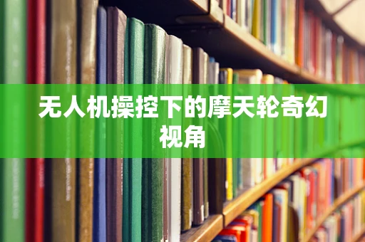 无人机操控下的摩天轮奇幻视角