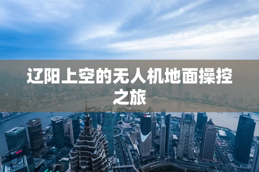 辽阳上空的无人机地面操控之旅