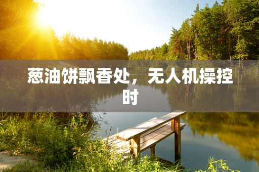 葱油饼飘香处，无人机操控时