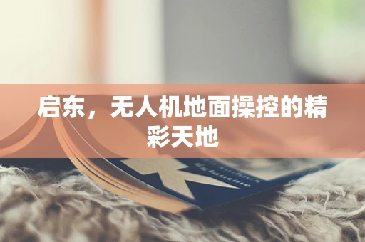 启东，无人机地面操控的精彩天地