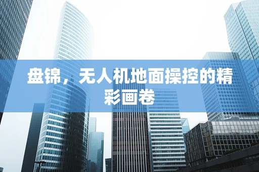 盘锦，无人机地面操控的精彩画卷