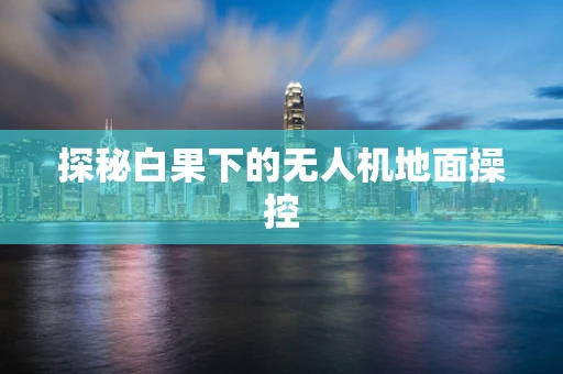 探秘白果下的无人机地面操控