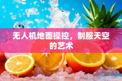 无人机地面操控，制服天空的艺术