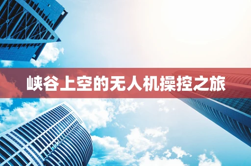 峡谷上空的无人机操控之旅