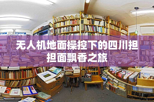 无人机地面操控下的四川担担面飘香之旅