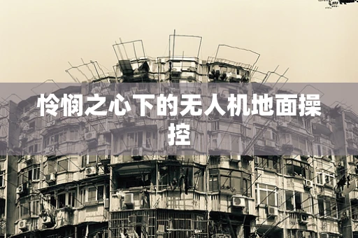 怜悯之心下的无人机地面操控