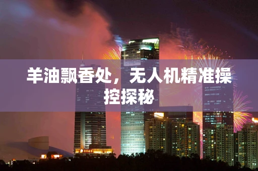 羊油飘香处，无人机精准操控探秘