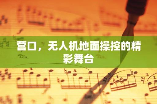 营口，无人机地面操控的精彩舞台