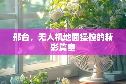 邢台，无人机地面操控的精彩篇章