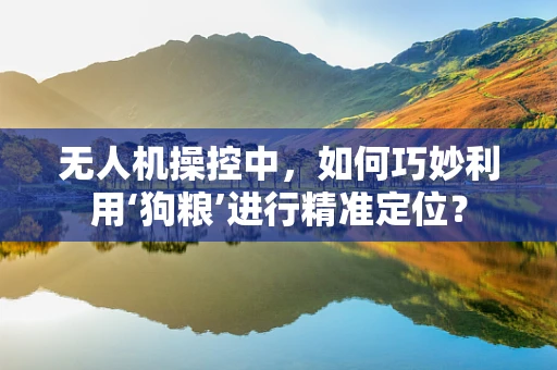 无人机操控中，如何巧妙利用‘狗粮’进行精准定位？