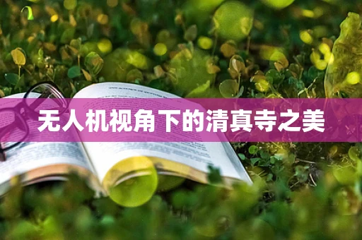无人机视角下的清真寺之美