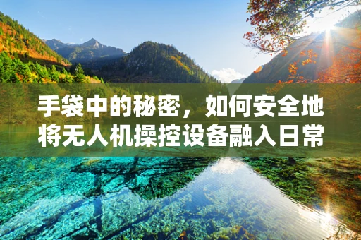 手袋中的秘密，如何安全地将无人机操控设备融入日常携带？