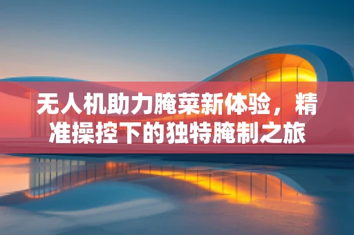 无人机助力腌菜新体验，精准操控下的独特腌制之旅