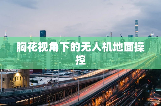 胸花视角下的无人机地面操控