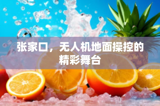 张家口，无人机地面操控的精彩舞台