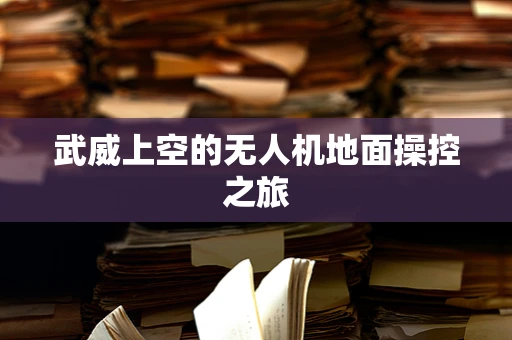 武威上空的无人机地面操控之旅