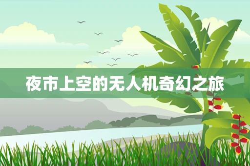夜市上空的无人机奇幻之旅