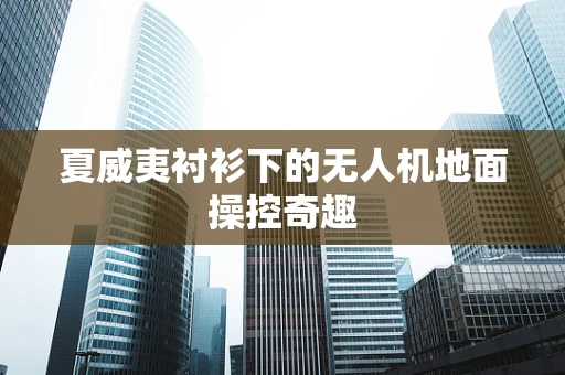 夏威夷衬衫下的无人机地面操控奇趣