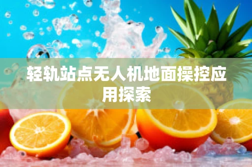 轻轨站点无人机地面操控应用探索
