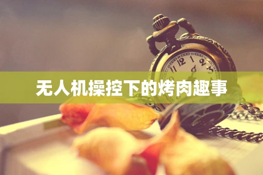 无人机操控下的烤肉趣事