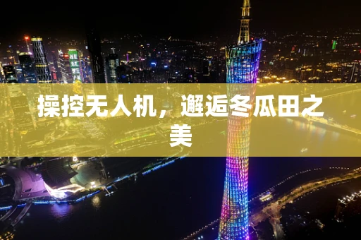 操控无人机，邂逅冬瓜田之美