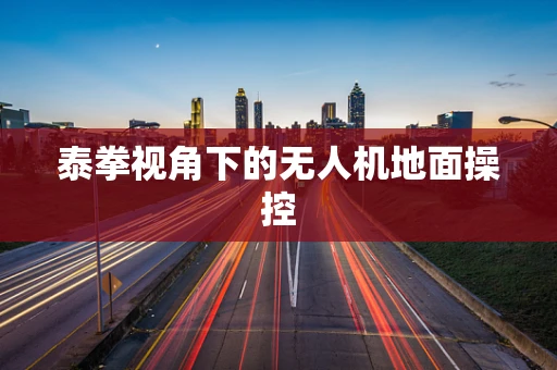 泰拳视角下的无人机地面操控