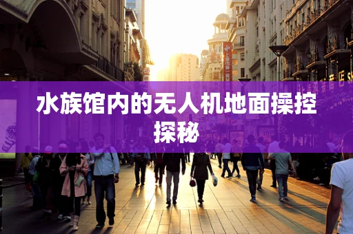 水族馆内的无人机地面操控探秘