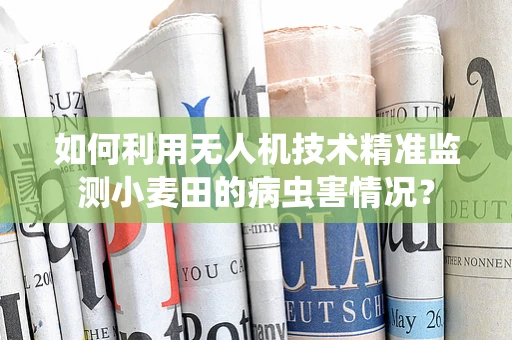 如何利用无人机技术精准监测小麦田的病虫害情况？