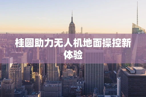 桂圆助力无人机地面操控新体验