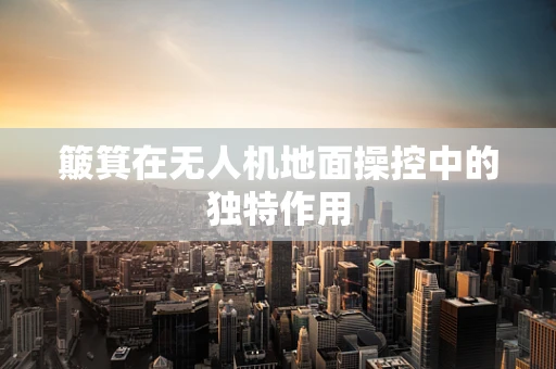 簸箕在无人机地面操控中的独特作用