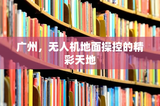 广州，无人机地面操控的精彩天地