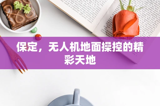 保定，无人机地面操控的精彩天地
