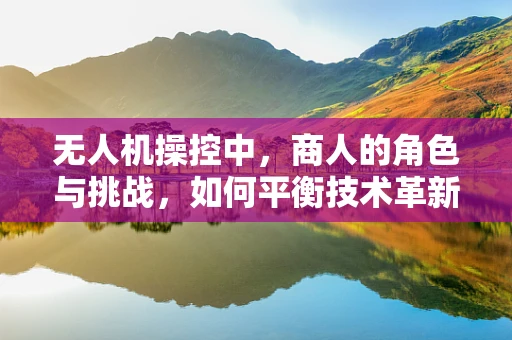 无人机操控中，商人的角色与挑战，如何平衡技术革新与商业利益？