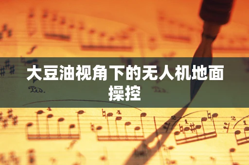 大豆油视角下的无人机地面操控
