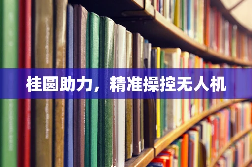 桂圆助力，精准操控无人机