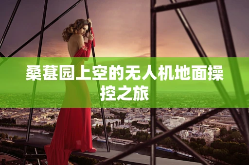 桑葚园上空的无人机地面操控之旅