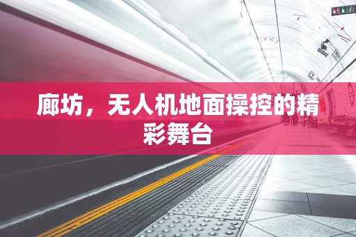 廊坊，无人机地面操控的精彩舞台