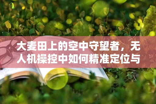 大麦田上的空中守望者，无人机操控中如何精准定位与避障？
