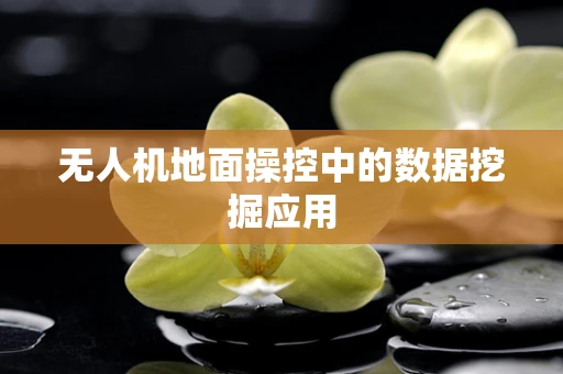 无人机地面操控中的数据挖掘应用