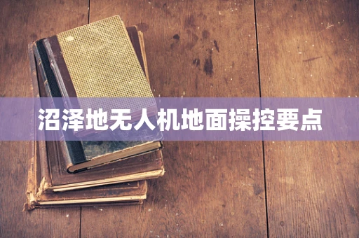 沼泽地无人机地面操控要点