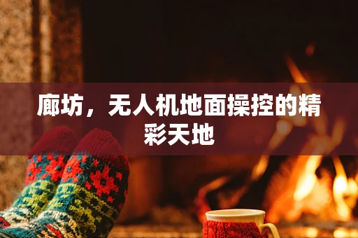 廊坊，无人机地面操控的精彩天地