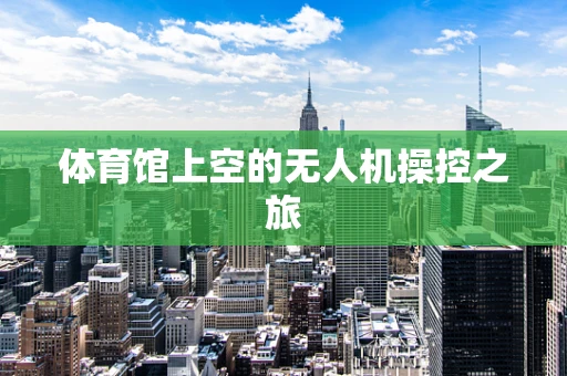 体育馆上空的无人机操控之旅
