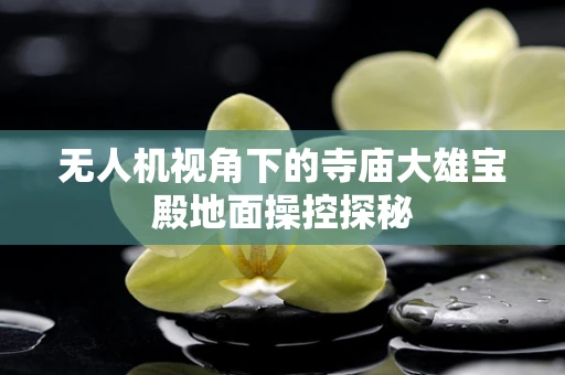 无人机视角下的寺庙大雄宝殿地面操控探秘