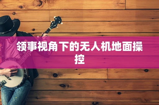 领事视角下的无人机地面操控