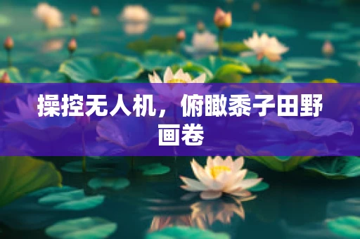 操控无人机，俯瞰黍子田野画卷
