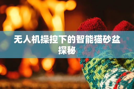 无人机操控下的智能猫砂盆探秘