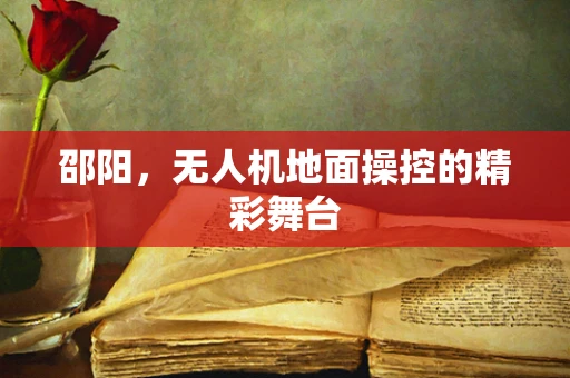 邵阳，无人机地面操控的精彩舞台