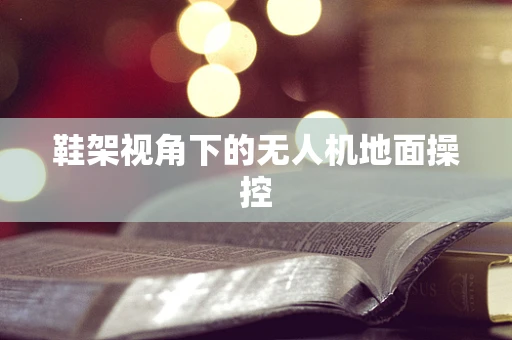 鞋架视角下的无人机地面操控