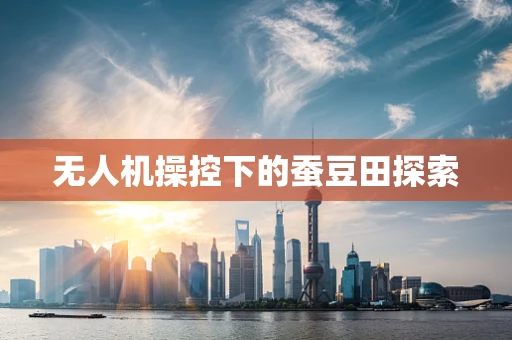无人机操控下的蚕豆田探索